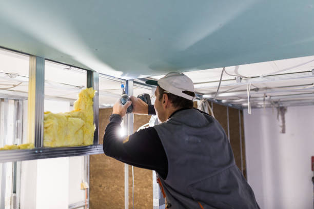 Best Insulation Contractor Near Me  in Algonquin, MD