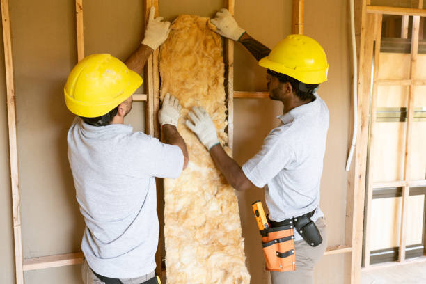 Best Insulation Repair Services  in Algonquin, MD